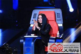 最新爆料那英过往视频,揭秘歌手背后的故事与争议 第2张 最新爆料那英过往视频,揭秘歌手背后的故事与争议 第2张